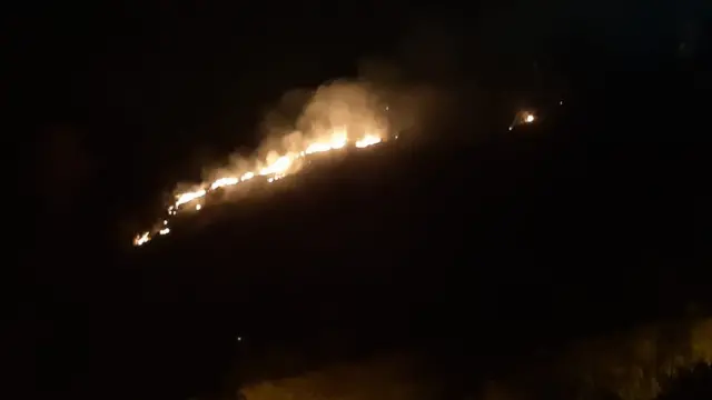 Trabzon'da orman yangını söndürüldü