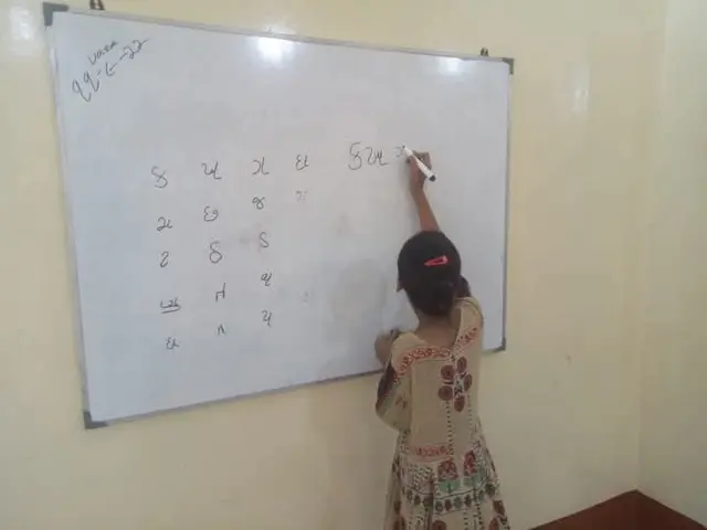 પાકિસ્તાન, પાકિસ્તાનમાં ગુજરાતી ભાષા, ગુજરાત, ગુજરાતી ભાષા, માતૃભાષા, ગુજરાતી બચાવો તહેરીક, બીબીસી ગુજરાતી 