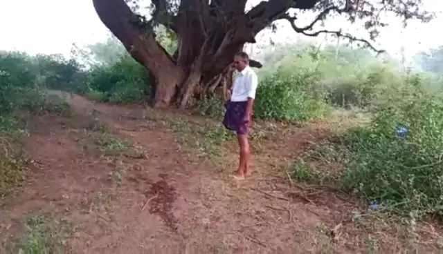 வனத்துறையினர் துப்பாக்கிச் சூடு