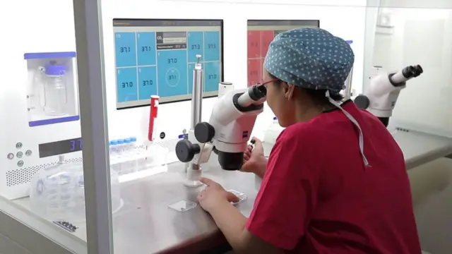 Жасалма бойго бүтүрүү