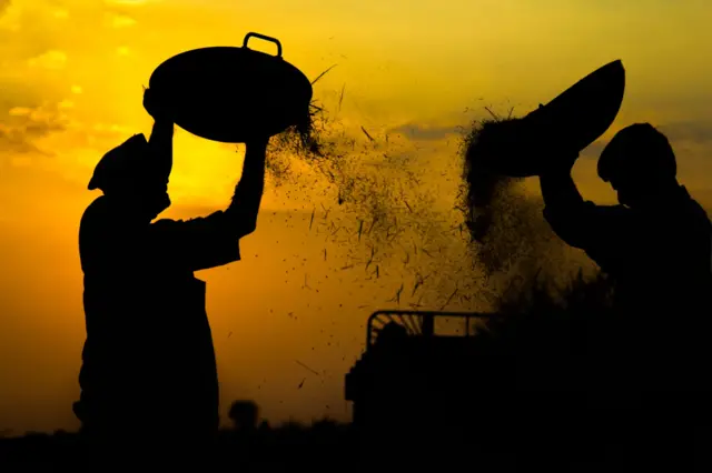 બીબીસી ગુજરાતી