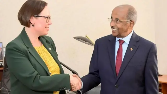 የስዊዲን ውጭ ጉዳይ ሚኒስትር ከኤርትራው ውጭ ጉዳይ ሚኒስትር ጋር ሲጨባበጡ
