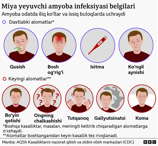Инфографикада инфекция белгилари тасвирланган. Уларга қусиш, бош оғриғи, иситма, кўнгил айниши, бўйин қотиши, онгнинг чалкашиши, тутқаноқ хуружлари, галлюцинациялар ва кома киради. Инфографикада эркак кишининг сурати атрофида ҳар бир аломат алоҳида доира ичида кўрсатилган.
