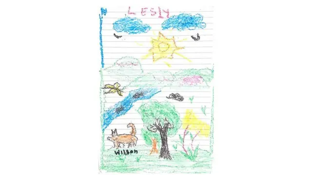 Karaa Wilsan bosona keessa deemee ijoollee barbaadaa ture fakkiin