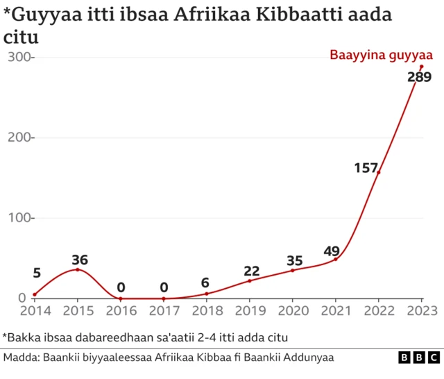 Guyyaa ibsaan itti adda citu