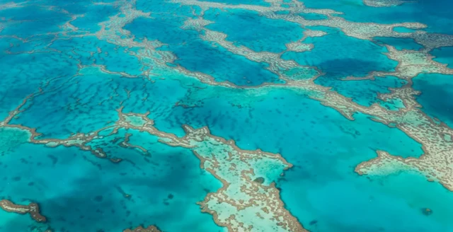 صورة تظهر رسماً للحاجز المرجاني العظيم.