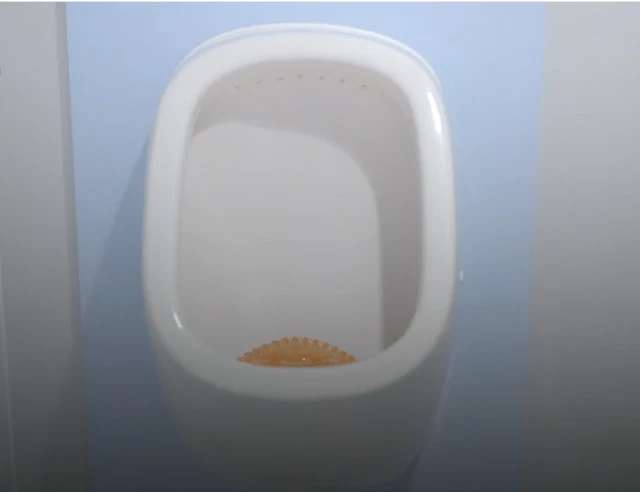 ብማእከላይ ገምጋም ኣብ መዓልቲ ካብ 4 ክሳብ 7 ግዜ ይሽኑ