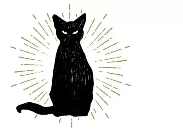 Malchance... ou peut-être juste un chaton noir ?