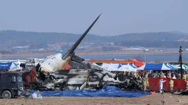 정부 당국이 추정하는 무안공항 제주항공 비행기 1차적 사고 원인과 의문점은? - BBC News 코리아