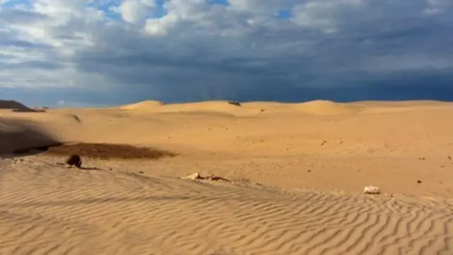 ሲና