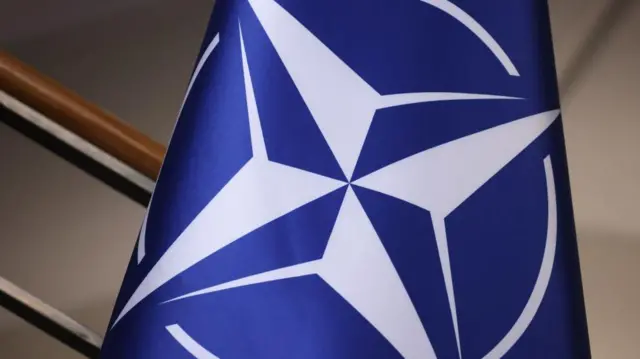 नेटो का झंडा