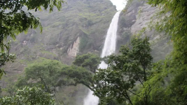 बाढीपहिरो