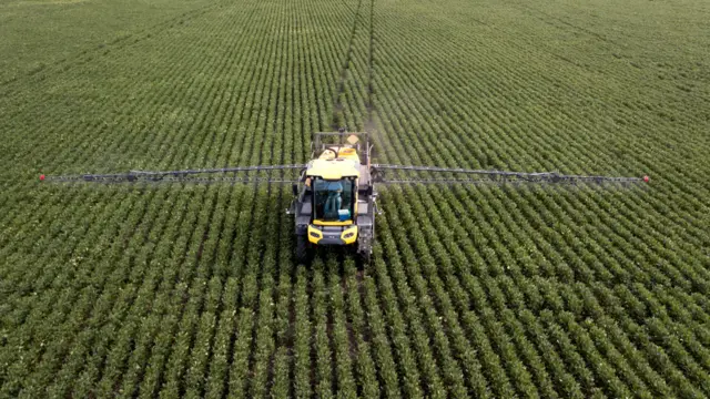 Cultivo de soja en Argentina