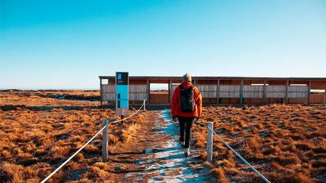 Una visitante de espaldas camina hacia el sitio en la reserva donde puede observarse la colonia de pingüinos a una distancia segura