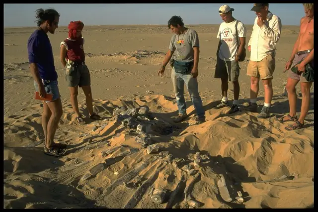 Débat autour du squelette d'un Ouranosaurus (dinosaure herbivore) après son dégagement du sable.