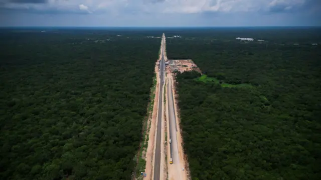 Trazado del tren por la selva