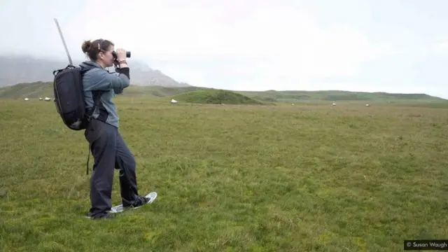 एल्बाट्रॉस