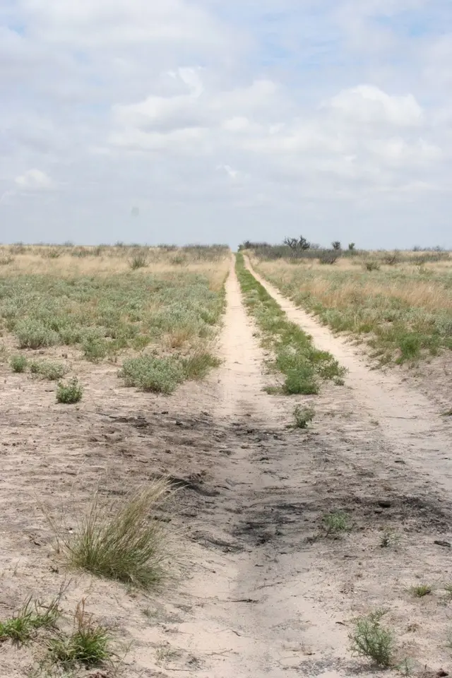 Marca negra en camino en medio del desierto