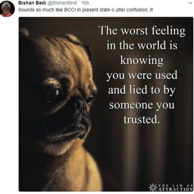 क्रिकेट