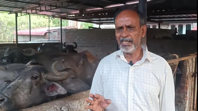 மசினகுடி, வறட்சி, மாடு, எருமை, கால்நடை