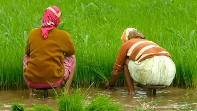 शेती करणाऱ्या महिला