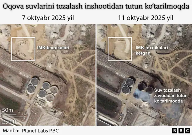 Chiroyli yuzli yalangoch qizlar