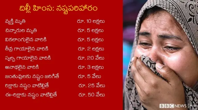 దిల్లీ హింస, ప్రభుత్వ నష్టపరిహారం వివరాలు