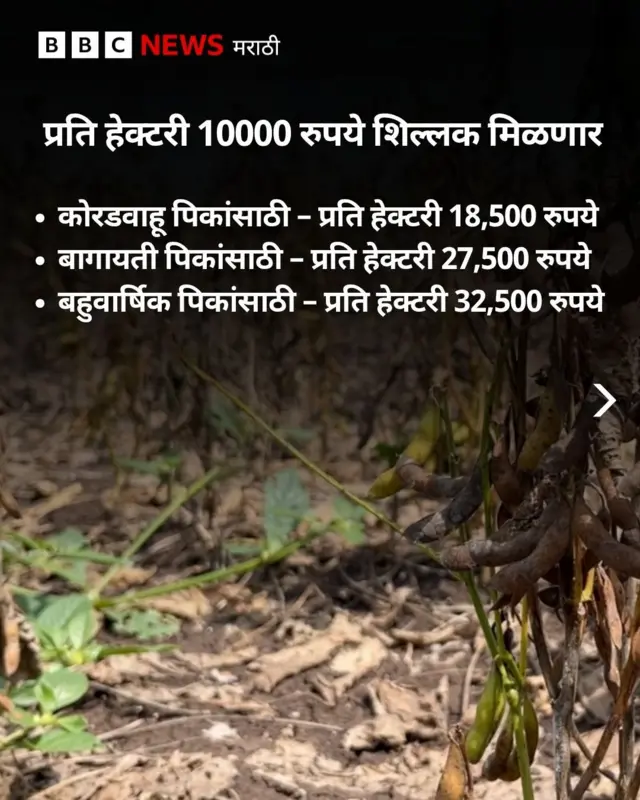 ग्राफिक्स