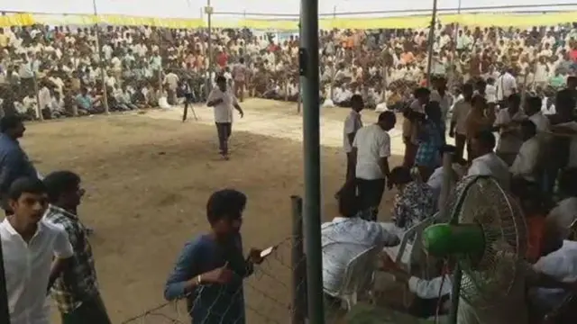 కోడి పందాలు