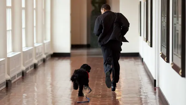 Obama corre junto a su mascota, el perro Bo, en un pasillo del ala Este de la Casa Blanca
