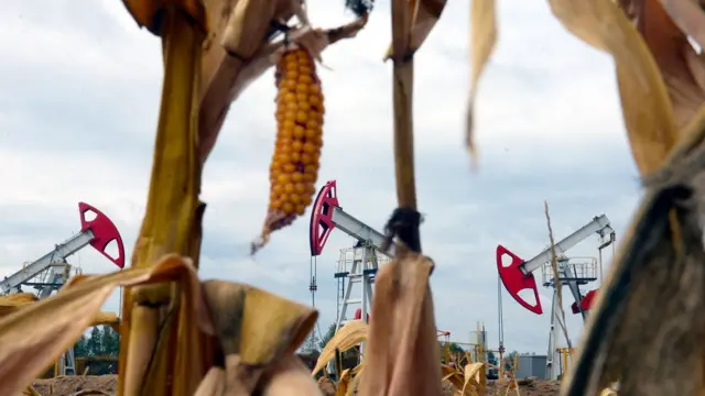 нефтяное месторождение в Белоруссии