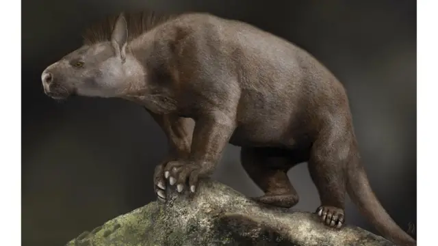 ஹைராச்சியஸ் போன்ற பெரிய தாவர உண்ணிகள்(இடது) மற்றும் ஆர்க்டோசியன் போன்ற பெரிய மாமிச உண்ணிகள், டைனோசர்கள் இறந்த பிறகு உருவாகின.