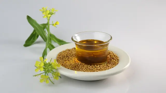 সরিষা উৎপাদন বাড়ানোর কথা বলছেন কৃষি বিশেষজ্ঞরা