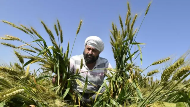 भारतीय किसान