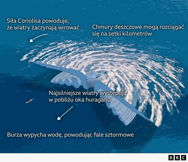 Grafika przedstawiająca przekrój huraganu nad morzem — z oznaczonymi chmurami deszczowymi, wirującymi wiatrami oraz silnymi podmuchami w pobliżu oka huraganu.