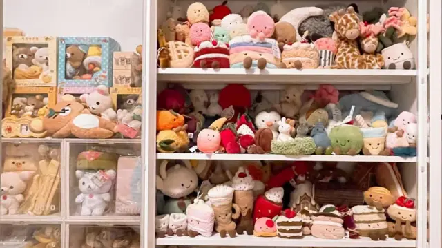 右邊是黃小姐的吉利貓收藏;左邊是她其他的毛絨玩具——大部分是熊。