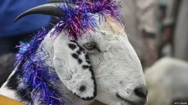 પ્રતીકાત્મક તસવીર