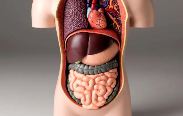 ஆல்கஹால் 