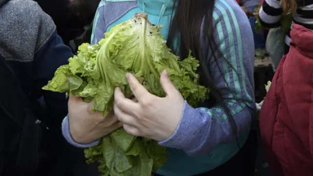 Mujer sosteniendo una lechuga en Argentina