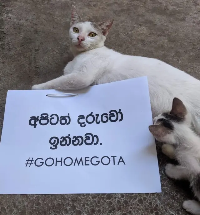 සුරතලුන් පවා විරෝධතාවන්ට එක්කර ගෙන තිබේ