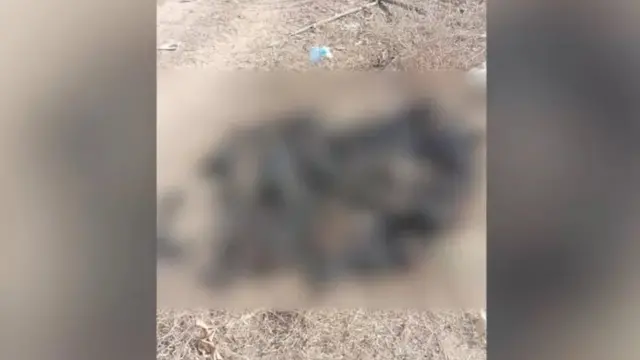 မြင်းမူမြို့နယ်ထဲက ပဒတ္ထိုင်းကျေးရွာမှာ ပြီးခဲ့တဲ့ ဖေဖော်ဝါရီလက မီးရှို့ခံထားရတဲ့ ရုပ်အလောင်းများ