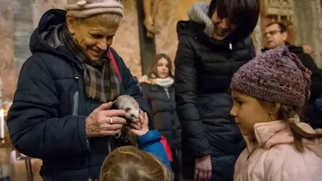 पाळीव प्राणी