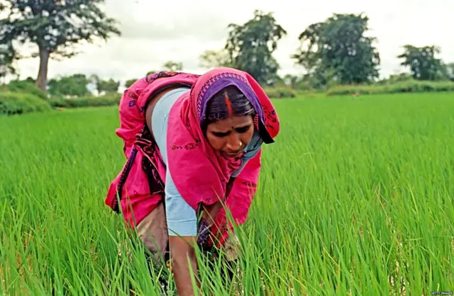 बिहार में कृषि संकट एक गंभीर मुद्दा है.
