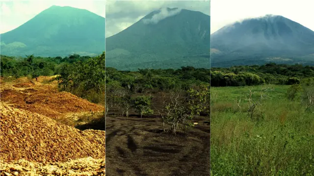 Montagemesporte da sorte jogarfotos feita por Janzen e Hallwachs mostra recuperação da Reserva Guanacaste