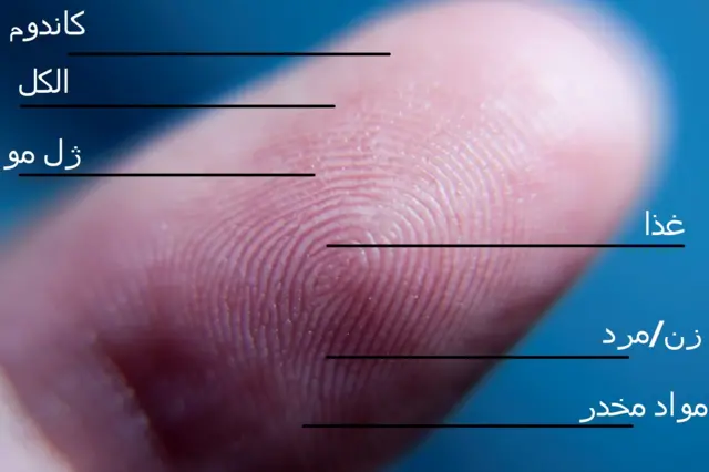 fingerprint