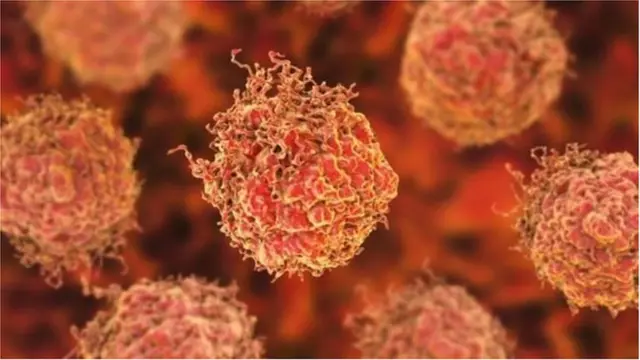 ক্যান্সার সেল