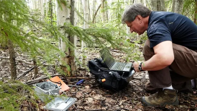 अलास्का के जियोफ़िज़िकल इंस्टीट्यूट के वैज्ञानिक व्लादिमिर रोमानोवस्की