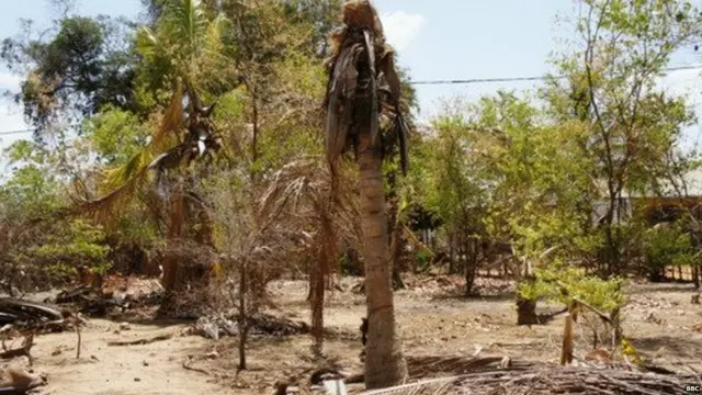 2014 ජුලි, අගෝස්තු මාසවල ද ශ්‍රී ලංකාව දැඩි නියඟයකට මුහුණ දුන්නේය