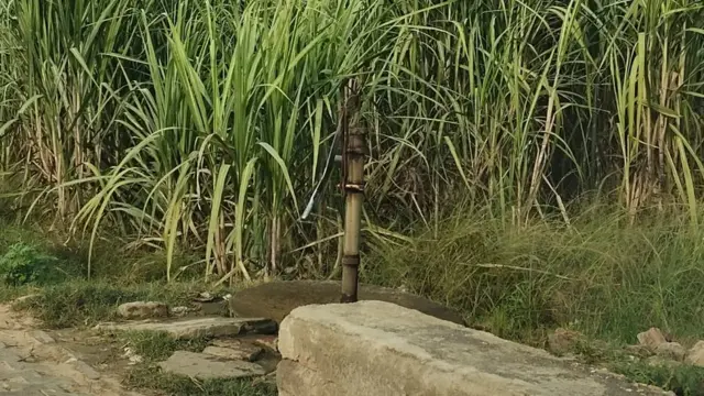 ਪਿੰਡ ਵਿੱਚ ਲੱਗਿਆ ਪਾਣੀ ਦਾ ਨਲਕਾ