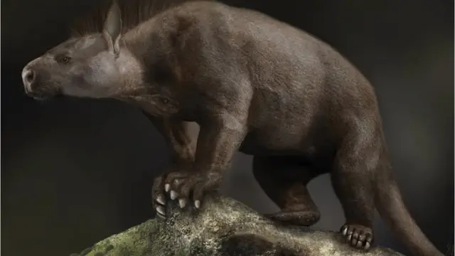 Periptychus, qui pourrait être apparenté aux cochons, vaches et moutons vivants, faisait partie d'un groupe qui est devenu grand et musclé après la fin des dinosaures.